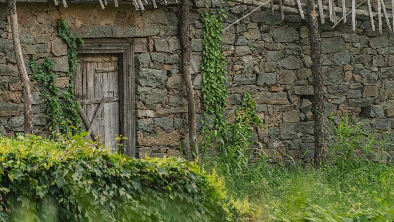 Amaya Касаули Экстерьер фото